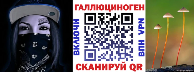 Галлюциногенные грибы Psilocybe  мориарти наркотические препараты  Углич 